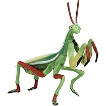 51+LVPO5ZvL._AC_UL210_SR210,